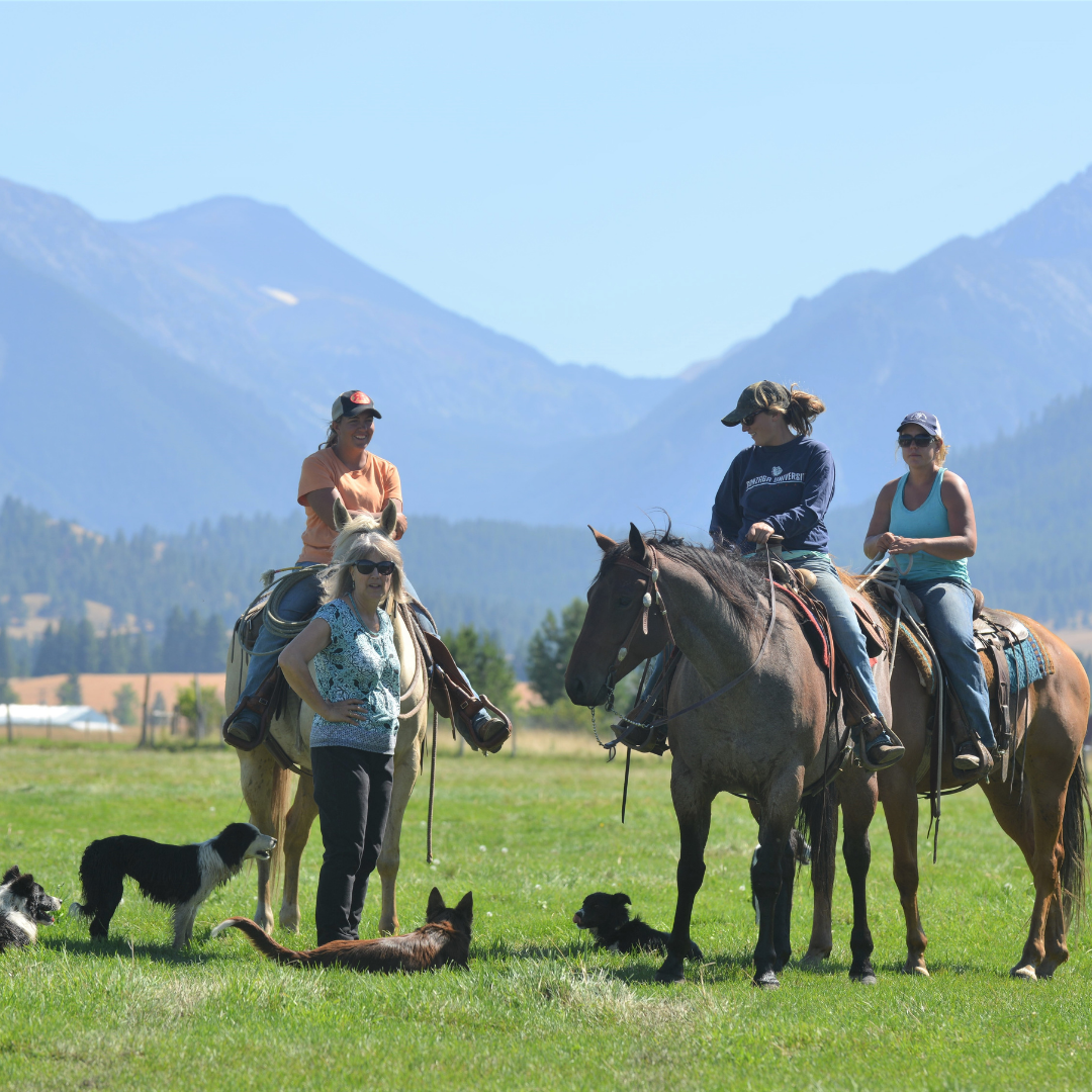 More Than a Century of Ranching